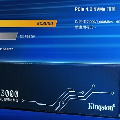 Kingston KC3000 512GB 512G SKC3000S/512G PCIE 4.0 SSD 內接固態硬碟