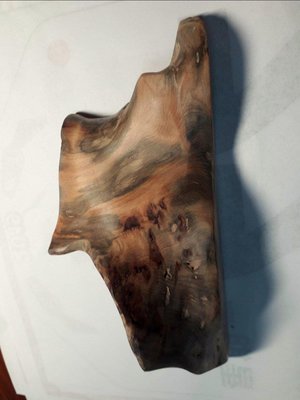 台灣黃檜瘤花塊，不規則，大約17×7×5.5公分間，精工打磨