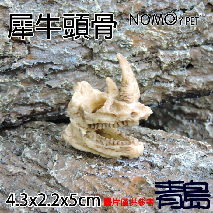 Y 青島水族 Ns 90中國nomo諾摩 骨頭化石躲藏棲息造景裝飾爬蟲蜥蜴烏龜蛇蜘蛛蠍 迷你犀牛頭骨 Yahoo奇摩拍賣