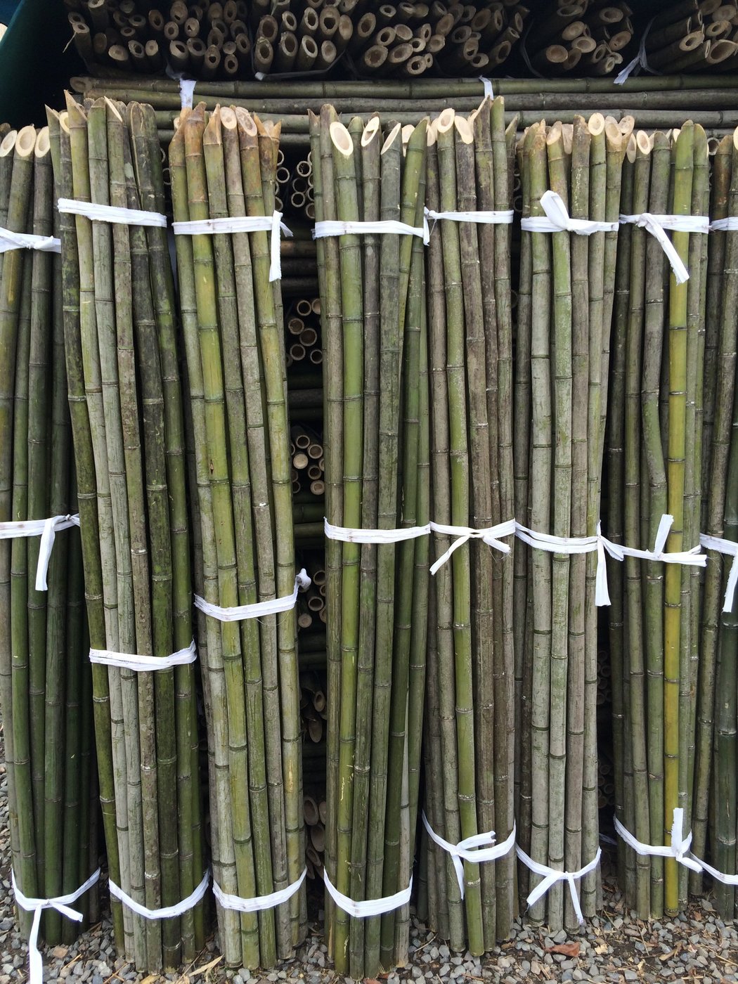 竹竿4尺長100支/ 捆，口徑1.2-2 公分| Yahoo奇摩拍賣