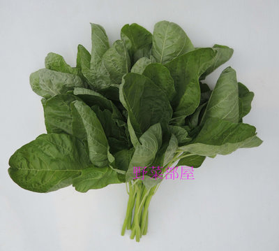 【野菜部屋~】A10 群峰特青莧菜種子13公克 , 耐熱品種 , 葉色深綠 , 莖葉柔嫩 , 每包15元~