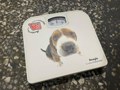 【二手良品】THE DOG 大頭狗 BEAGLE 磅秤 最重能磅130KG 體重器
