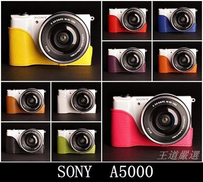 【台灣TP】SONY A5000 A5100 真皮相機底座 相機皮套 設計師款 秀系列 皮套 相機包