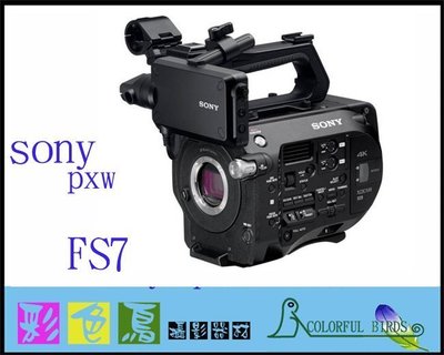 彩色鳥 (高速攝影機)租 SONY pxw-FS7 + EF轉接環 出租
