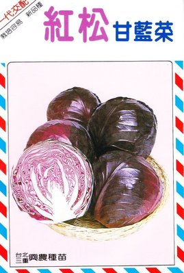高麗菜【滿790免運費】 甘藍菜 紫色高麗菜 (紅松甘藍菜) 【甘藍類種子】興農牌中包裝 每包約1ml