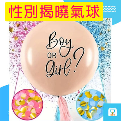 性別揭曉氣球 36吋 氣球 性別氣球 性別派對 性別揭曉 氣球佈置 慶生氣球 派對氣球 性別 猜性別 寶寶性別派對 慶生