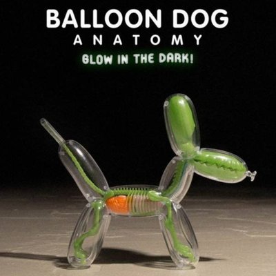 【現貨商品】美國半剖公仔設計師 Jason Freeny Balloon Dog Anatomy 夜光氣球狗