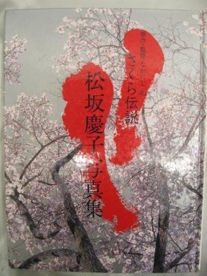 全新 絕版 松坂慶子  さくら伝説 櫻花傳說 日版寫真集