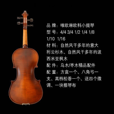 小提琴成人入門小提琴初學 者大學生兒童學習實木純 手工專業級進口歐料手拉琴
