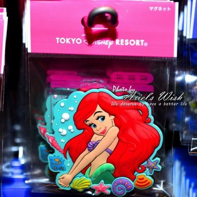 Ariel's Wish-日本東京迪士尼連線海洋Disney Sea小美人魚愛麗兒冰箱辦公室磁鐵備忘錄-最後一個絕版品