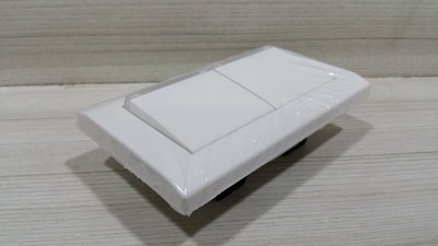 DIY水電材料 台昱牌 晨光大面板系列 2開關 TYL-A582