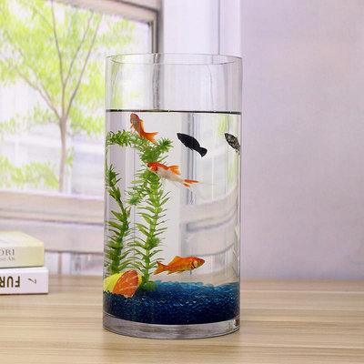 專場:魚缸小 玻璃 水族箱圓型創意生態缸形圓柱景金大 號烏龜 造培裝飾