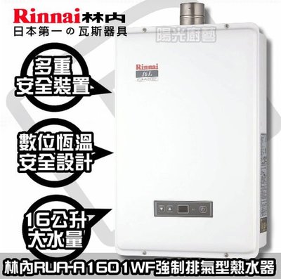 【陽光廚藝】林內RUA-1601WF強排恆溫熱水器-拜託把舊機賣給我吧