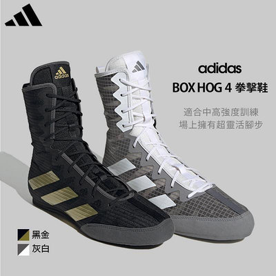 adidas Box Hog 4 拳擊鞋