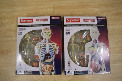 現貨全新Supreme Anatomy Model 人體解剖模型(一組另有優惠)  類 KAWS 半剖公仔