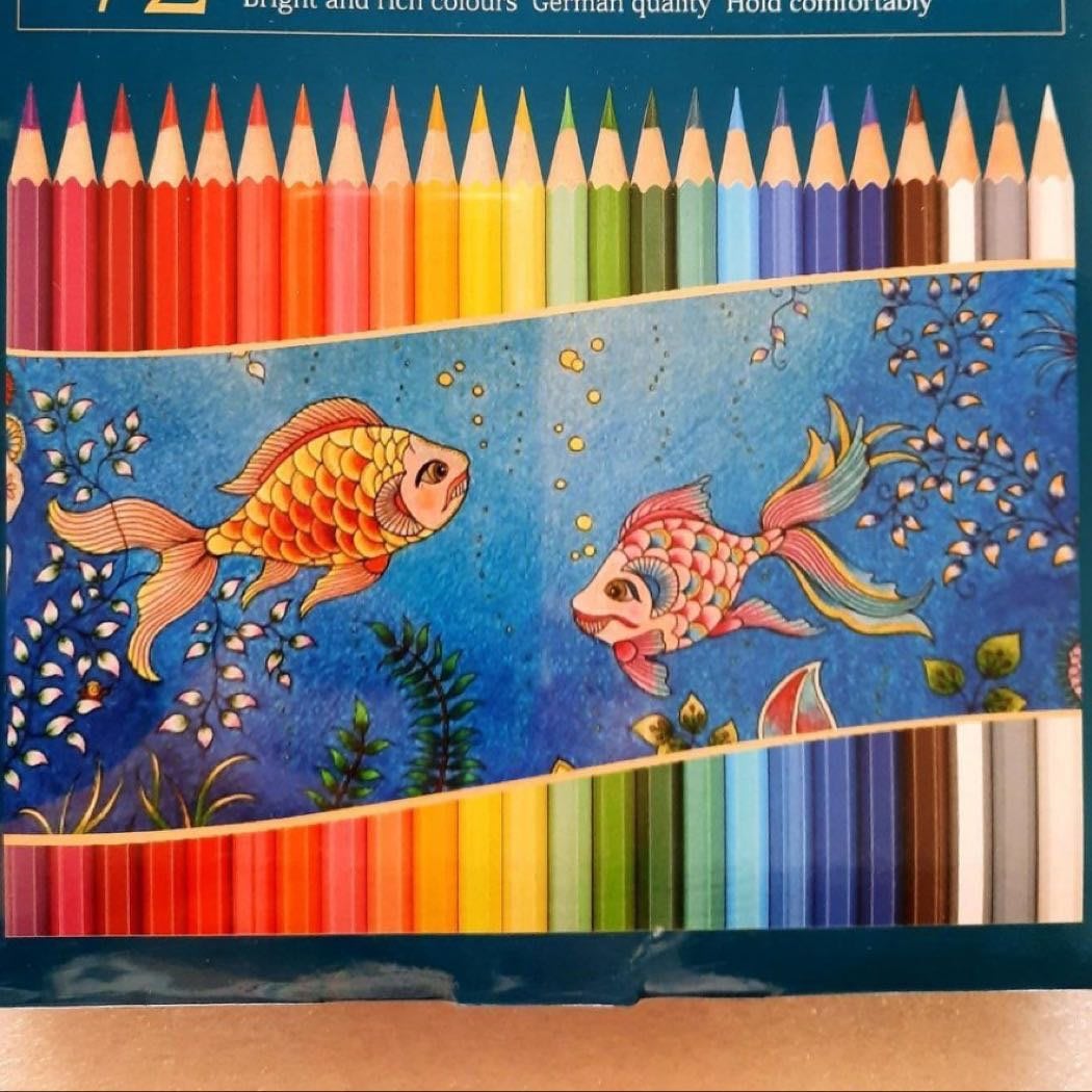 Senalier申內利爾彩色鉛筆48色油性彩鉛筆色鉛筆手繪專業學生用畫筆 Yahoo奇摩拍賣