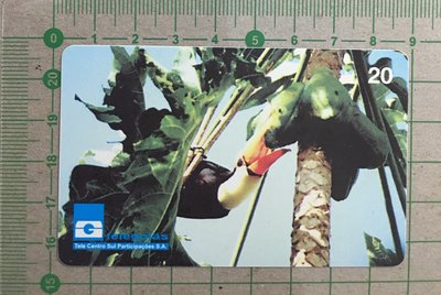 【卡庫】【鳥類】巴西1999年，巨嘴鳥  KBR0065