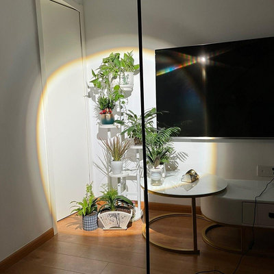 LED全光譜落地款植物補光燈綠植被墻生長燈COB室內多肉盆栽植物燈