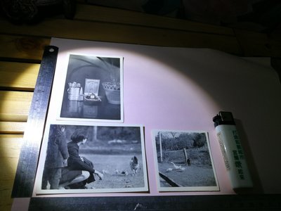 銘馨易拍重生網 PSS221 早期 50～60年代 賞雞、戲大鵝、精品CHANEL等物寫實照 如圖（3張ㄧ標，珍藏回憶）