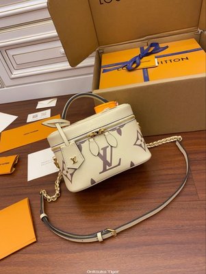 [二手]Louis Vuitton LV Vanity PM 化妝包 M45599