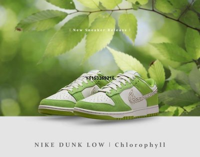 NIKE Dunk Low "Safari Swoosh" 綠色 石斑紋 低幫 滑板鞋DR0156-300