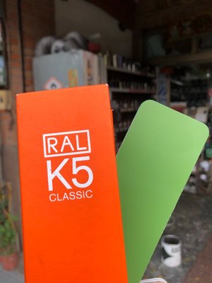 【振通油漆公司】RAL 6025進口素色漆 特效漆 變色龍烤漆 補土 底漆 金油 珍珠漆 授權經銷商 100g