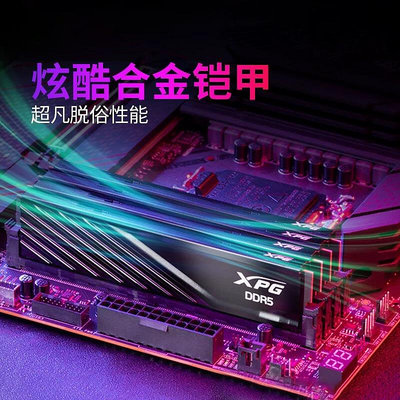 威剛XPG威龍DDR5記憶體16G 32G 6000 6400MHz桌機機電腦馬甲記憶體