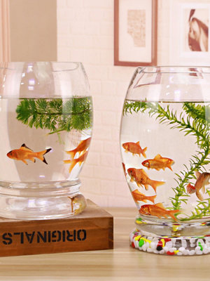 【現貨】金魚缸圓形客廳辦公桌面小型迷你創意生態水族箱家用水培玻璃魚缸