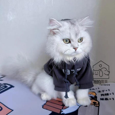 寵物貓貓咪衣服秋冬裝防掉毛保暖可愛小奶貓藍貓英短連帽刷毛大學T【我的寶貝】