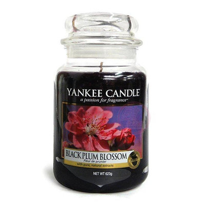 便宜生活館【家庭保健】Yankee Candle 香氛蠟燭 22oz /623g (黑莓) 全新商品