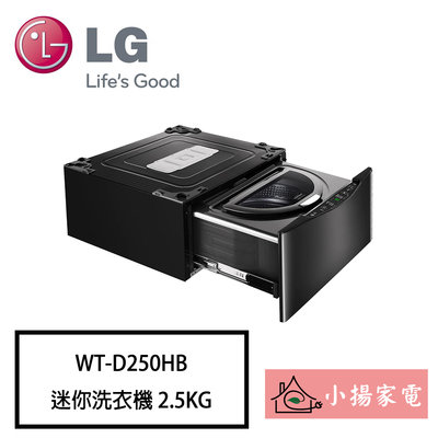 【小揚家電】LG 迷你洗衣機 WT-D250HB 另售 WT-D250HW /WT-D250HV【詢問享優惠】