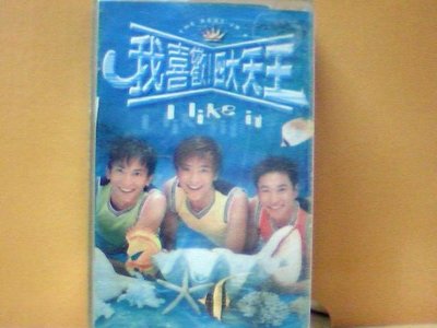 minia柑ㄚ店錄音帶(TAP-244)四大天王 1996年 我喜歡!四大天王 威聚唱片發行 原殼