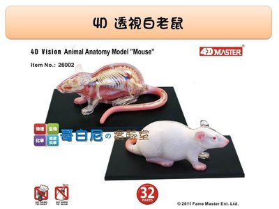 哥白尼的實驗室/生物/4D透視白老鼠模型/正版Fame Master/