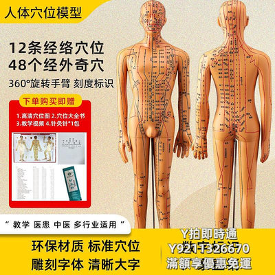 人體模型中針灸人體模型全身十二經絡人形穴位圖銅人小皮人扎針練習模特