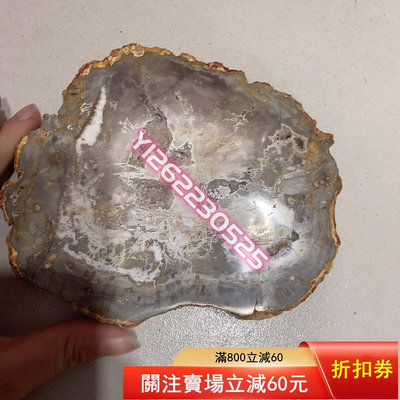馬達加斯加木化石切片茶盤，帶晶洞，593克，14×12厘米 天然原石 奇石擺件 把玩石【匠人收藏】389