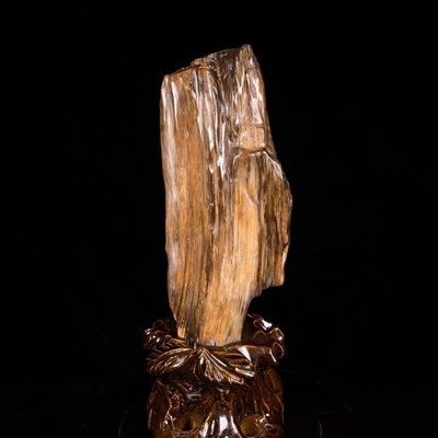 緬甸樹化玉原石擺件天然樹化石奇石收藏客廳桌面觀賞造型石頭~好物特價