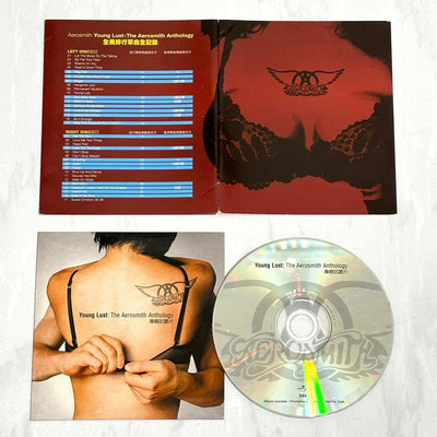 史密斯飛船 Aerosmith 2002 血氣方剛經典全紀錄 Young Lust Anthology 環球音樂 台灣版 十首歌宣傳單曲 CD