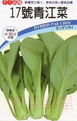 【野菜部屋~】F04 時田17號青江菜種子2.5公克 , 耐熱高腳型 , 易種植 , 每包15元 ~