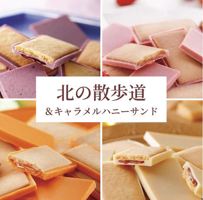 現貨在台☆北海道Morimoto☆ 焦糖蜂蜜巧克力夾心餅禮盒 北の散步道 藍靛果 草莓 哈密瓜