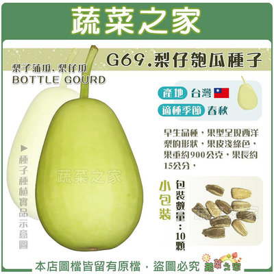 【蔬菜之家滿額免運】G69.梨仔匏瓜種子10顆(梨子蒲瓜.梨仔瓜)  早生品種，果型呈現西洋梨的形狀，果皮淺綠色，果重約900公克