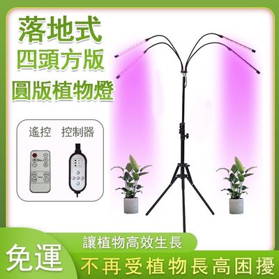 植物燈 三腳架植物燈 led植物生長燈 遙控夾式多肉燈 落地摺疊式 2040w全光譜 可調光植物燈條【價錢詳談】