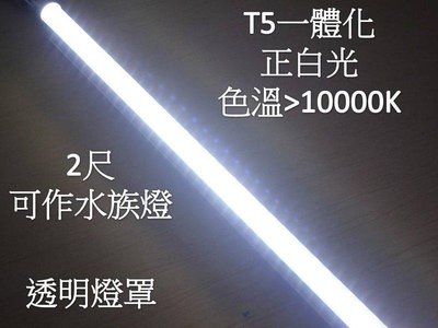 (安光照明)LED水族燈 T5不斷光 色溫 13000k 2呎 白光 透明 LED燈泡 LED日光燈 LED植物燈批發