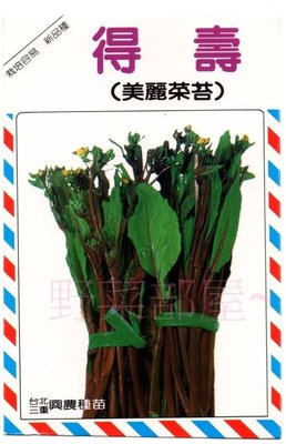 【野菜部屋~】E46 美麗紅菜苔種子1.5公克 , 紅色油菜花 , 每包15元 ~