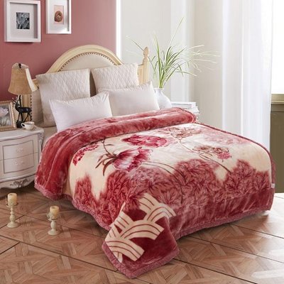 新款拉舍爾毛毯沙發休閑毯冬季加厚法蘭絨午睡毯子雙層珊瑚絨蓋毯