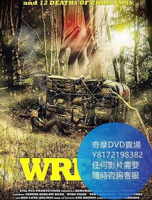 DVD 海量影片賣場 車禍驚魂/Wreck  電影 2020年