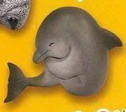 【動漫瘋】休眠海洋動物園 1套全6種 休眠動物園 海洋篇 單售 海豚
