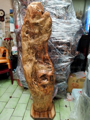 台灣紅檜木樹根瘤花重油，未上漆