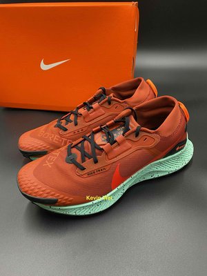 Nike Pegasus Trail 3 Gore-Tex 橘青 GTX DC8793-800 慢跑鞋 US10.5