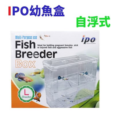 【北高雄】IPO幼魚盒（自浮式）L 隔離箱 隔離盒 產卵盒 產卵箱 飼育箱