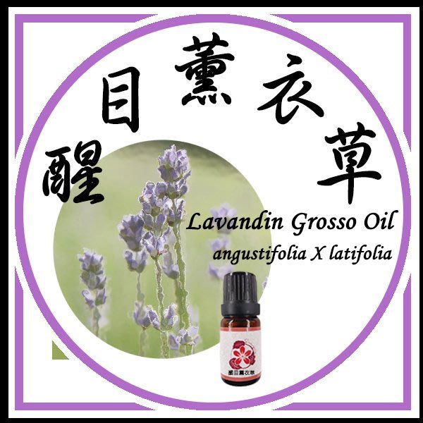 三越garden 醒目薰衣草10ml 產地 法國 萃取部位 花 萃取方式 蒸氣蒸餾法特價促銷商品 Yahoo奇摩拍賣